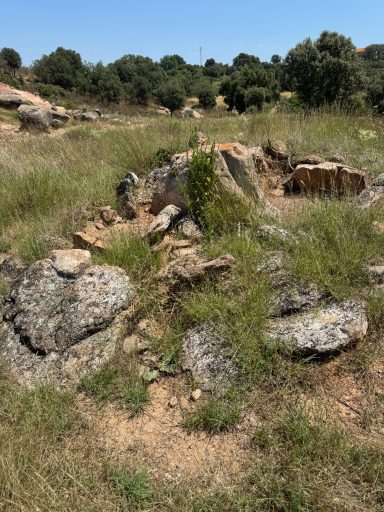Dolmen de Viladases. Imatge 17-7-2025