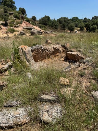 Dolmen de Viladases. Imatge 17-7-2025