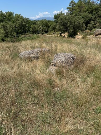 Dolmen de Viladases. Imatge 17-7-2025
