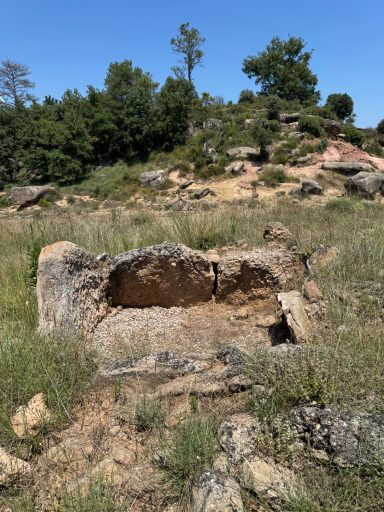 Dolmen de Viladases. Imatge 17-7-2025